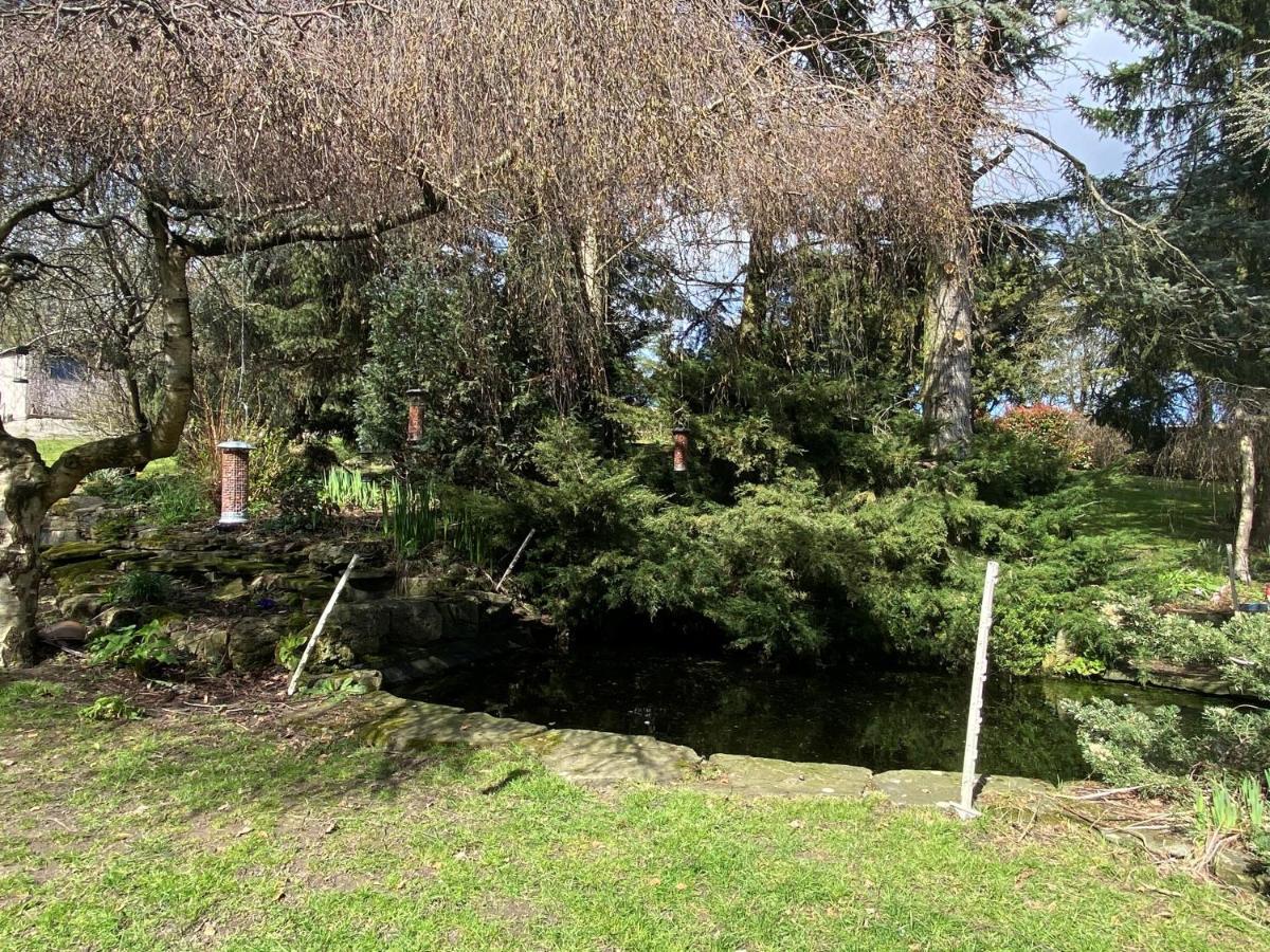 Chase Bungalow Billericay Kültér fotó